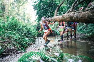 BIB: 
                            <button type="button" onclick="openModal(25464629)" class="btn btn-primary btn-sm float-right btn-popup" data-toggle="modal" data-target=".modal-high-quality">
                        <i class="fas fa-shopping-cart"></i> Add to Cart
                    </button>
                                            <button type="button" onclick="isThisMe(25464629, true)" class="btn btn-success btn-sm float-right btn-popup btn-isme hidden" data-toggle="tooltip" data-placement="bottom" title="นี่คือรูปของคุณใช่ไหม คลิกที่นี่เพื่อเอาเข้าอัลบั้ม">
                        <i class="fas fa-plus"></i> Add to album
                    </button>
                    <button type="button" onclick="isThisMe(25464629, false)" class="btn btn-warning btn-sm float-right btn-popup btn-isnotme hidden">
                        <i class="fas fa-ban"></i> Remove from album
                    </button>